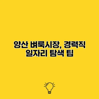 양산 벼룩시장, 경력직 일자리 탐색 팁